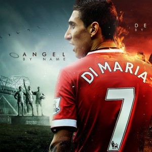 开云体育ios-_沙滩鸟巢跑：一场充满趣味的海滩运动秀_，沙滩鸟图片